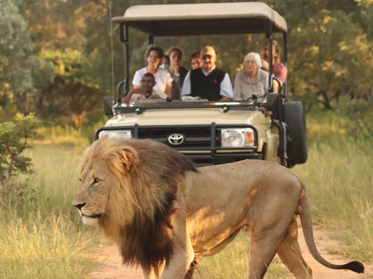 Honeyguide Ranger Camp