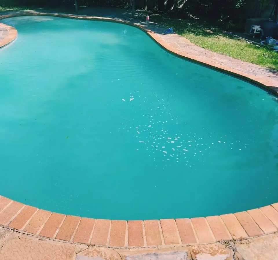 Cozy Retreat Ferndale