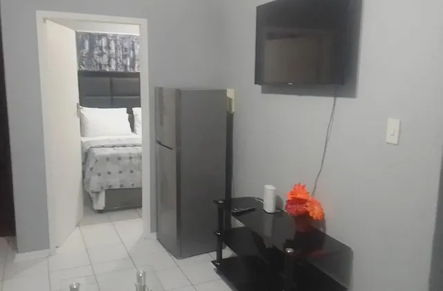 Katherine Street Sandton Apartment  Gautrain/ Mall