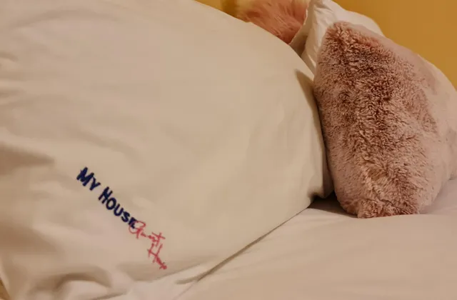 Situated in a NO Load Shedding area close to TUT 