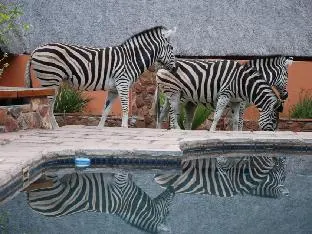 Blyde River Canyon Lodge – photo 5, Serviced apartment in Hoedspruit