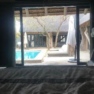 Simba Safaris Private Game Lodge with Predators – photo 2, Entire House in Ellisras