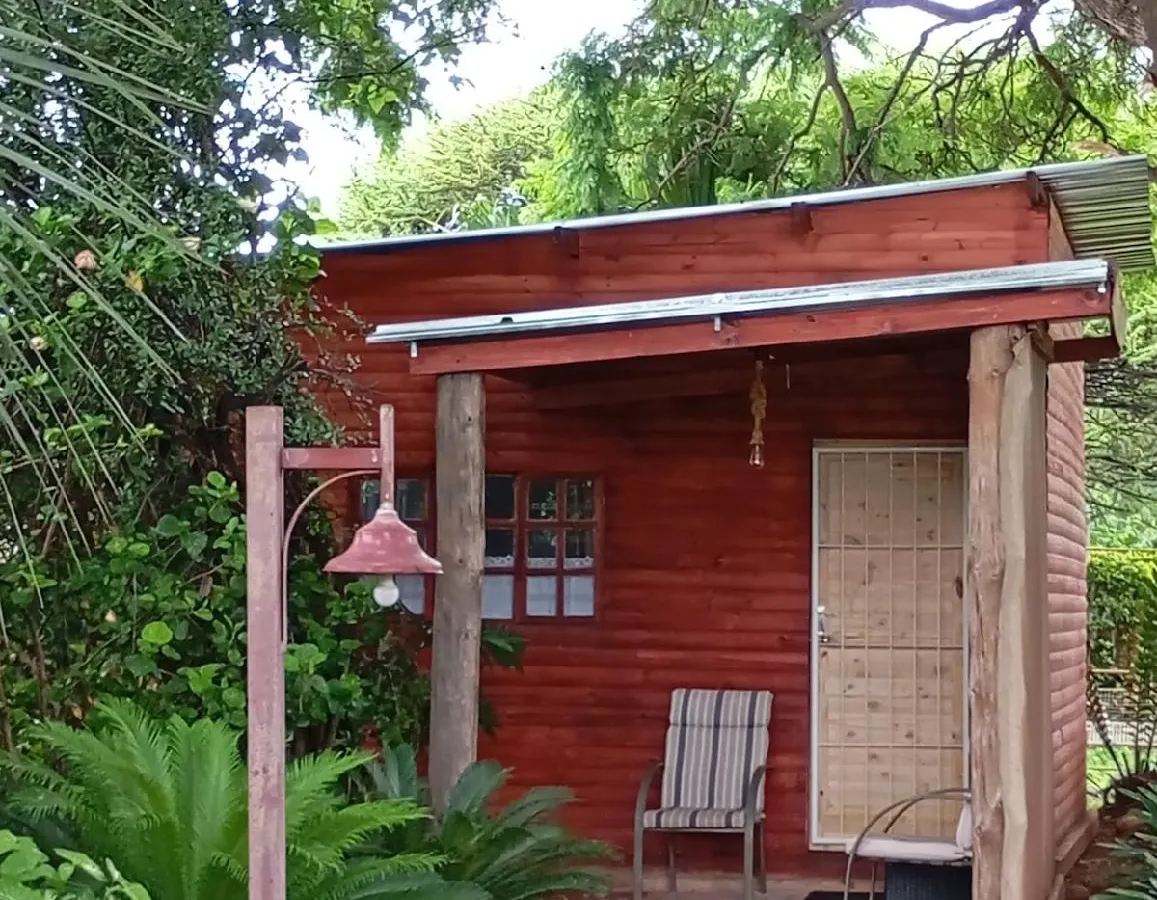 6 on First Log Cabin