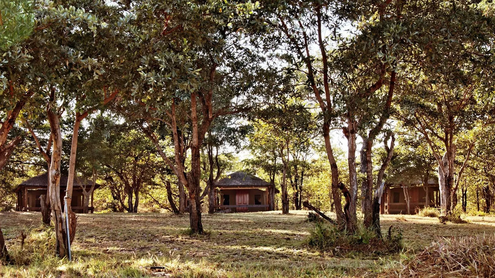 Shindzela Tented Safari Camp and Walking Safaris Accommodation