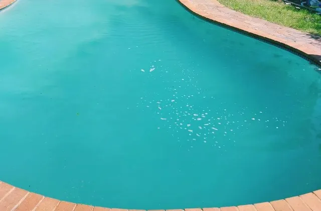 Cozy Retreat Ferndale