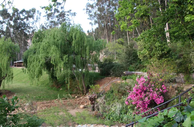 MontMartre Chalets & Venue