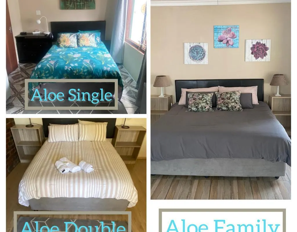 Aloe Guest Rooms