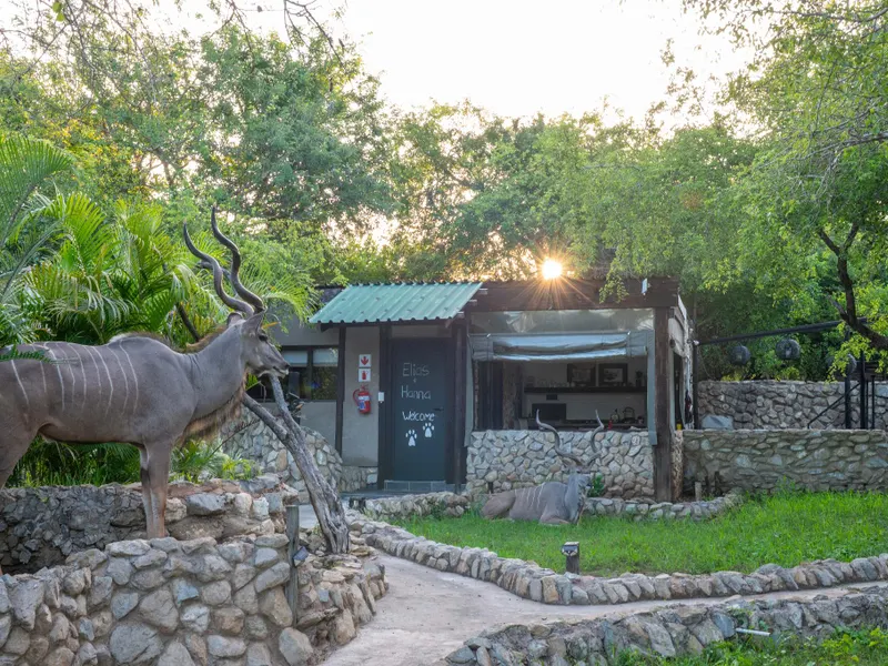 Foxy Crocodile Bush Lodge and Kruger Safaris