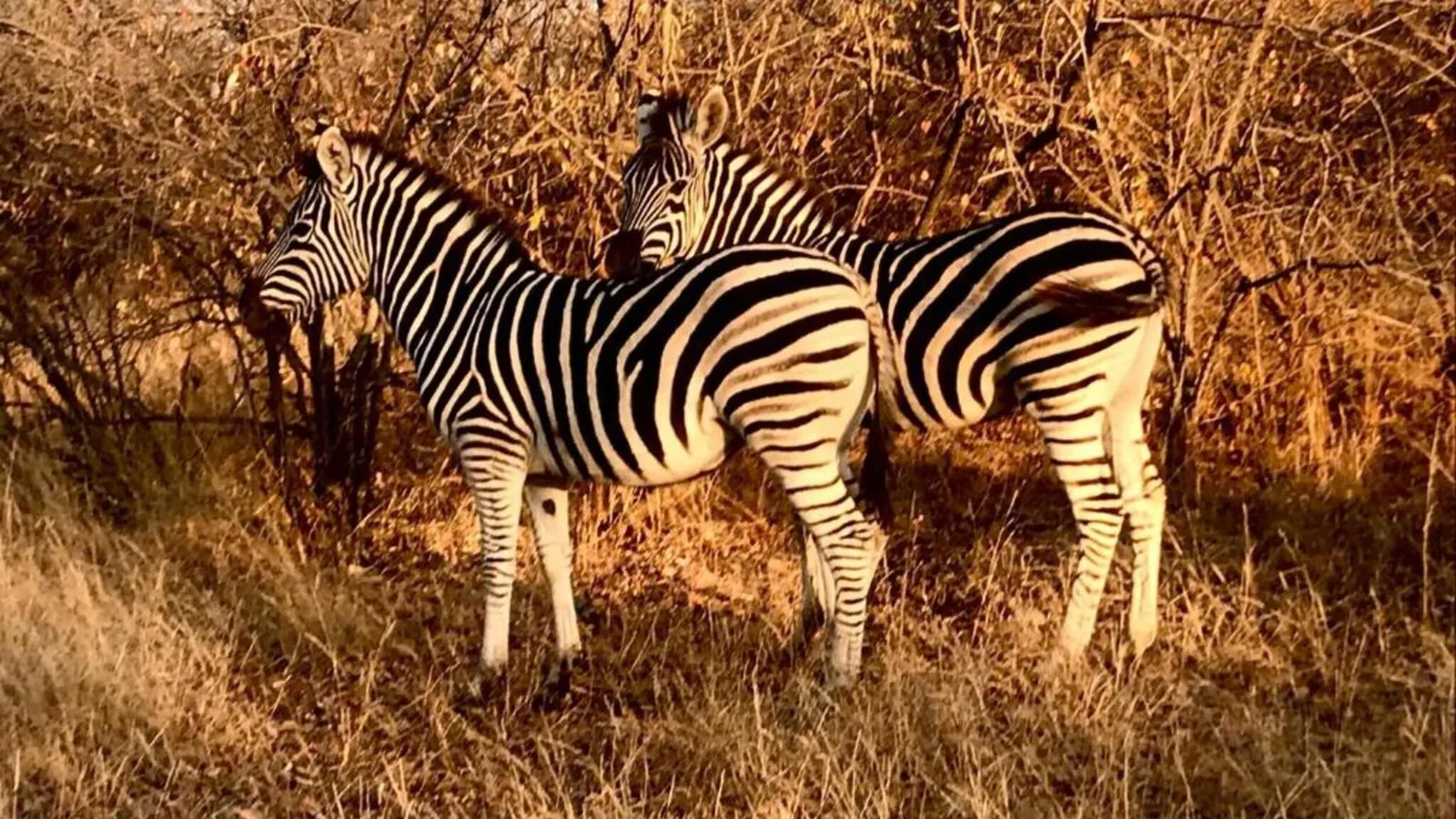 Villa in Hoedspruit with Drakensberg Views