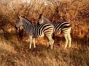 Villa in Hoedspruit with Drakensberg Views