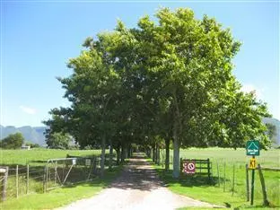 Malvern Manor Country Guest House – photo 4, Country House in George