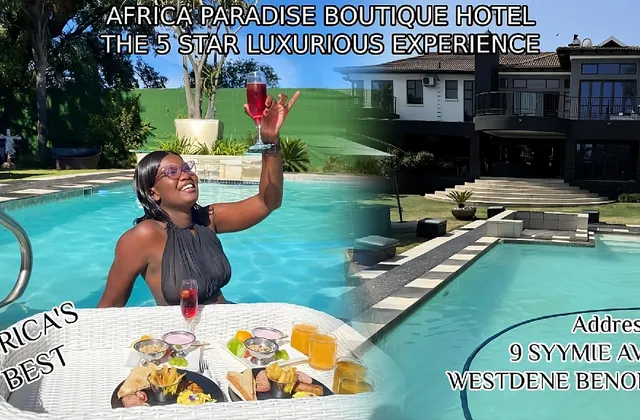 Africa Paradise OR Tambo Boutique Hotel 