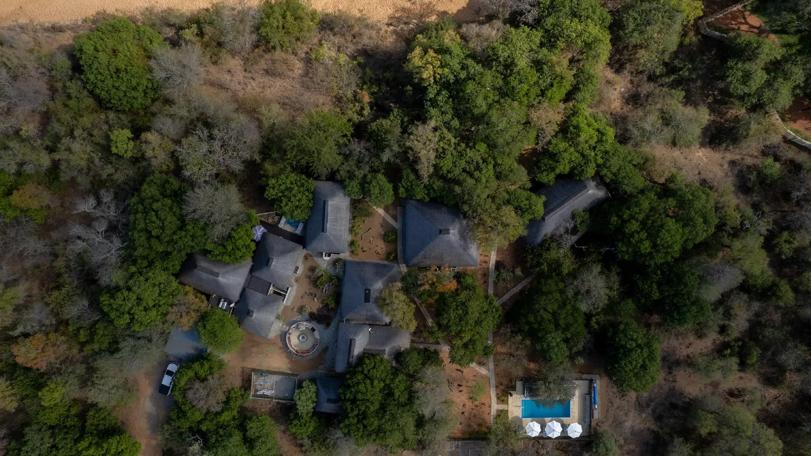 Bushbaby River Lodge