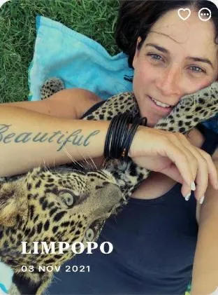 Simba Safaris African Pride Exotic Lodge – photo 3, Hotel in Ellisras