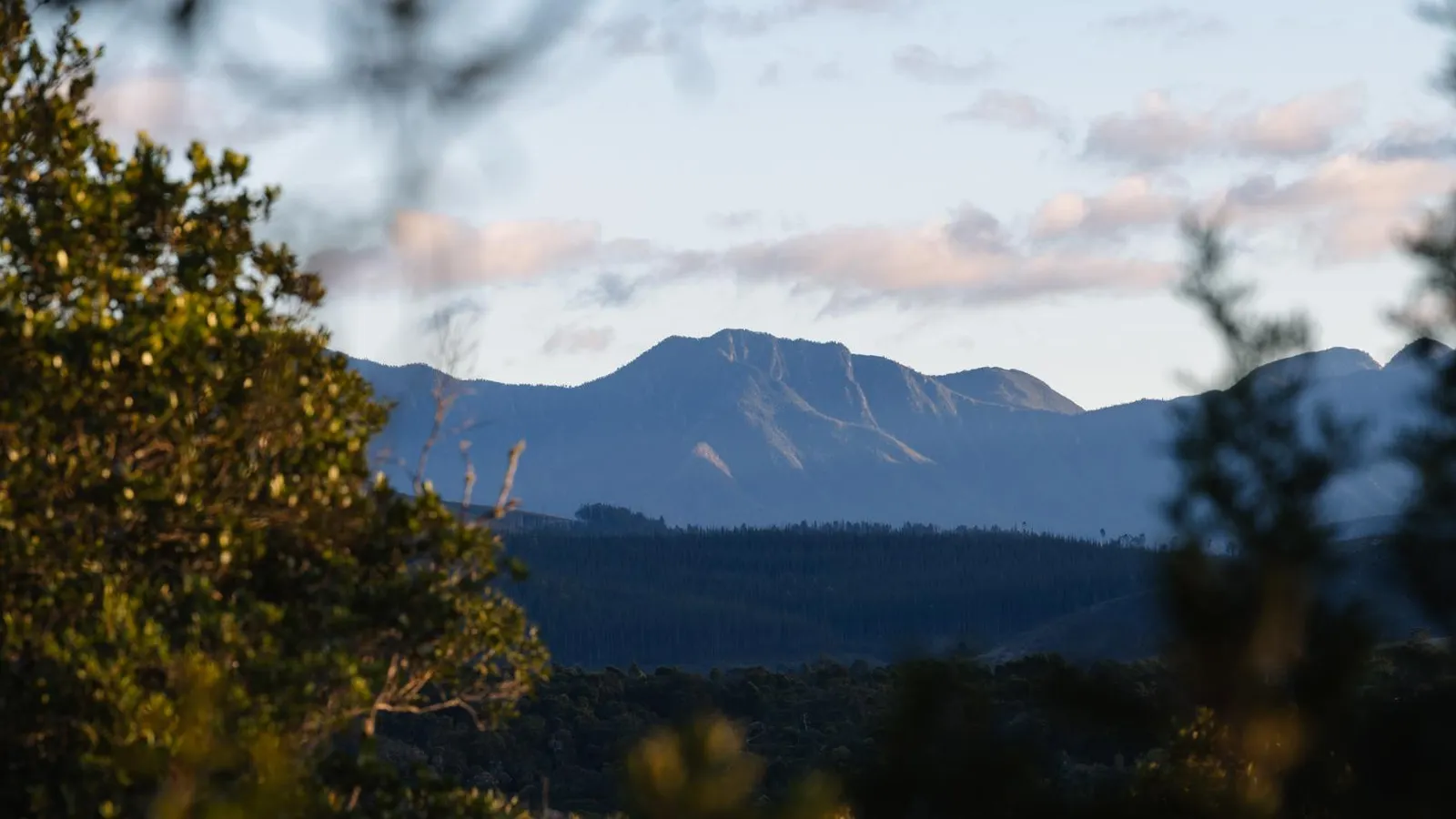 Moon Shine on Whiskey Creek