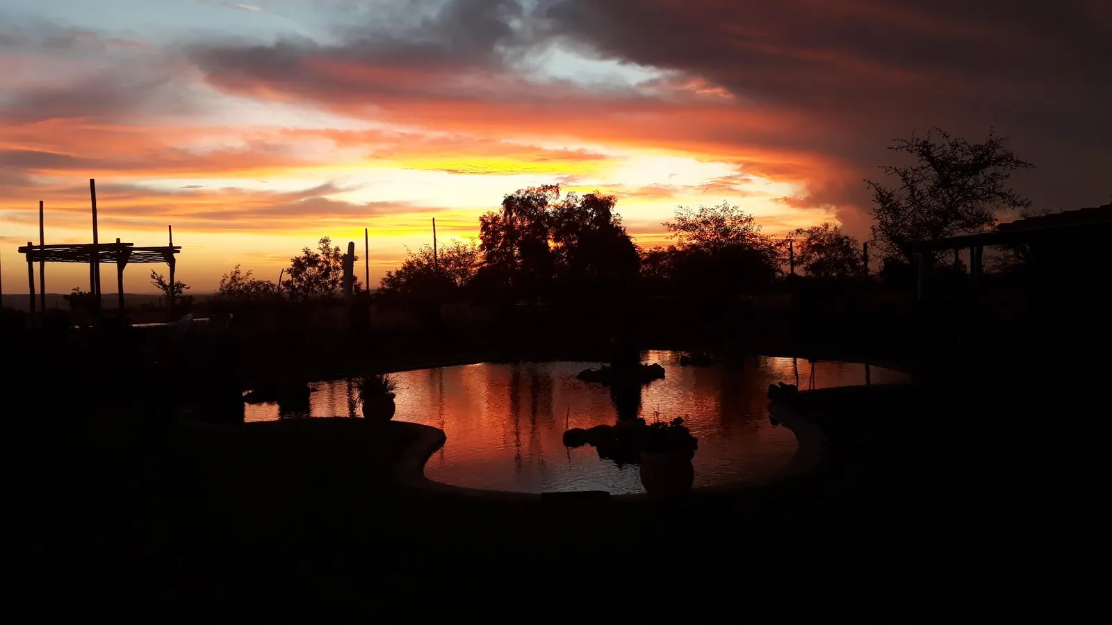 Nyani Lodge Dinokeng