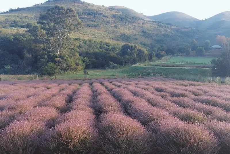 The Inn on Robbers Pass