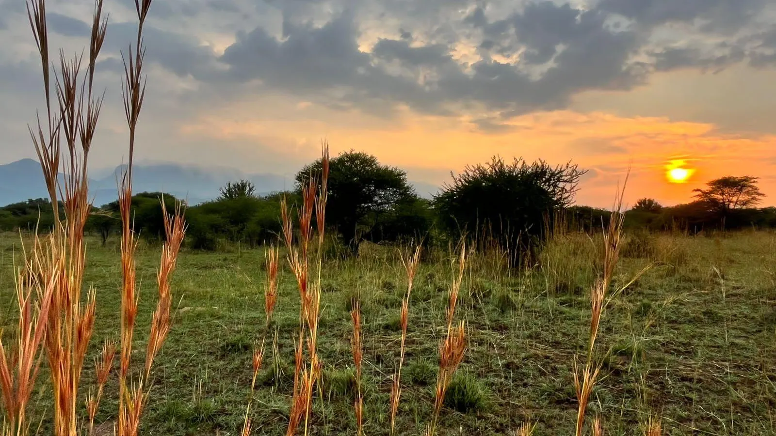 Thabazimbi Bushveld Self Catering Accommodation