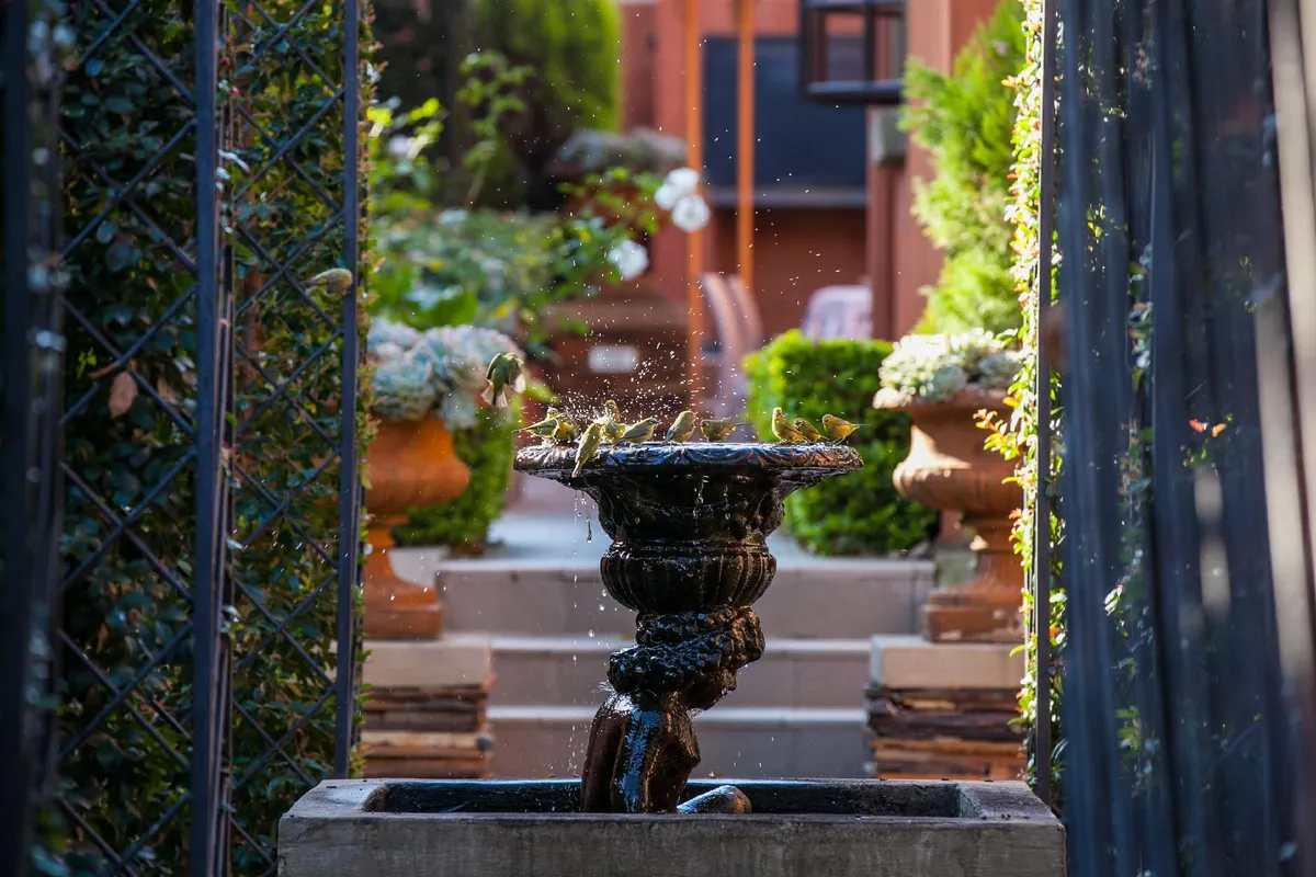 Ivory Manor Boutique Hotel