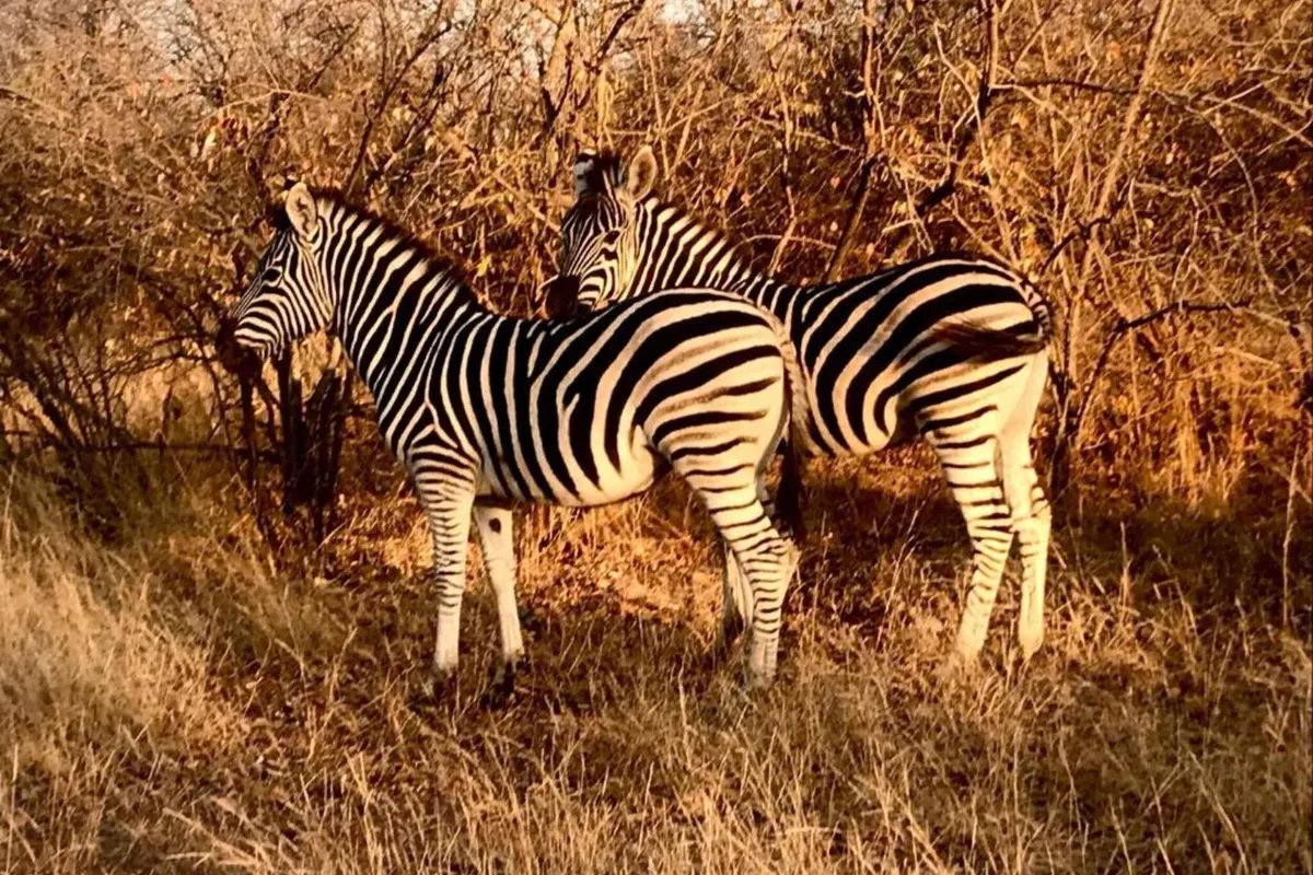 Villa in Hoedspruit with Drakensberg Views
