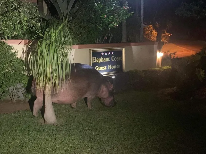 Elephant Coast Guesthouse