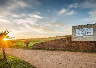 Tala Collection Game Reserve