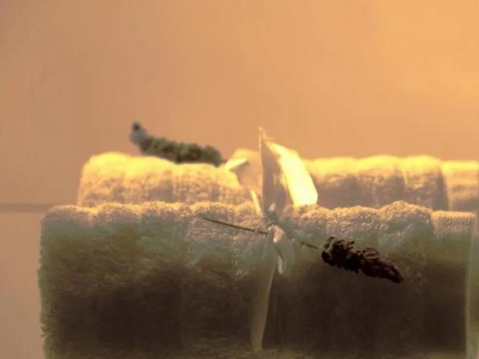 Gilcrest Place Guest House