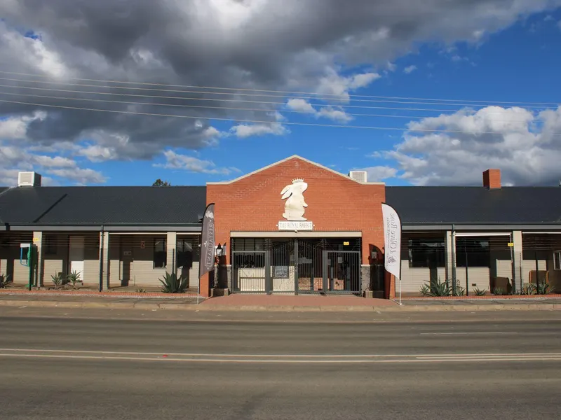 D'Olive Rose Boutique Hotel - Danielskuil