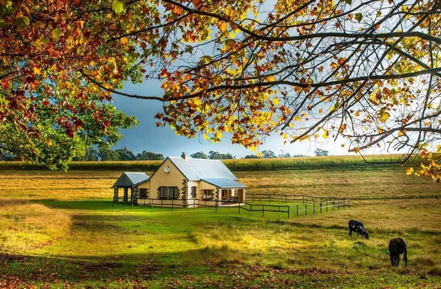 The FarSide Dam Cottage