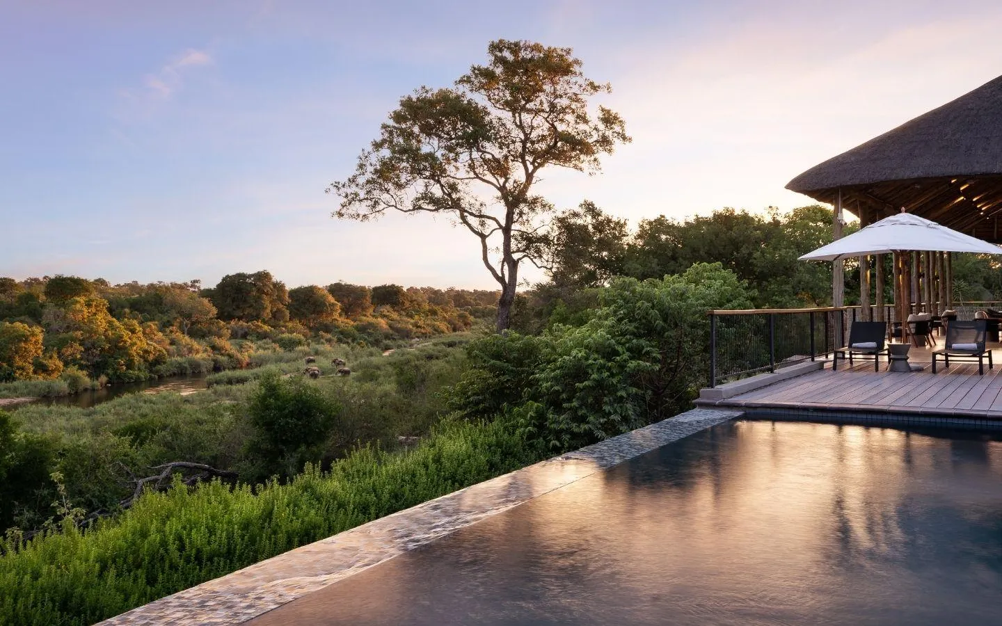 Leopard Sands, Kruger Park