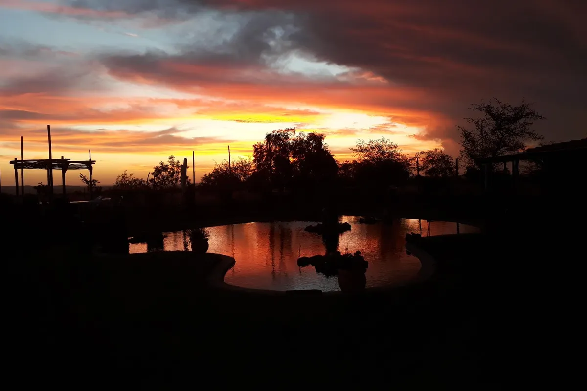 Nyani Lodge Dinokeng