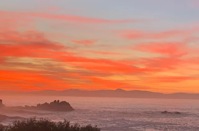 Boutique Ocean Views