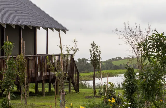 Misty Mountain Reserve