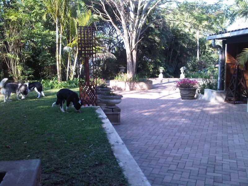 #BEMBRIDGE BREAK-AWAY