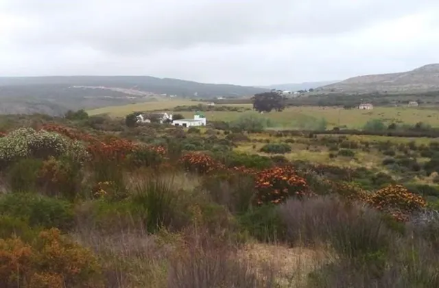 Wild Rescue Nature Reserve