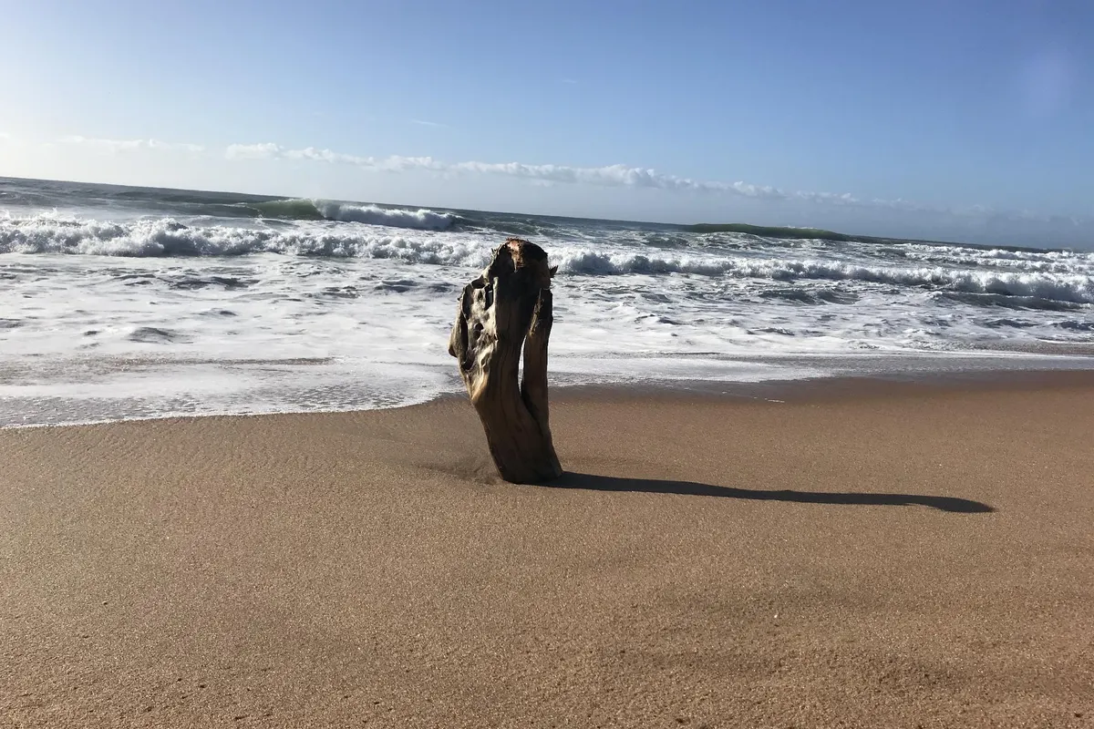 Milkwood - romantic coastal beach eacape