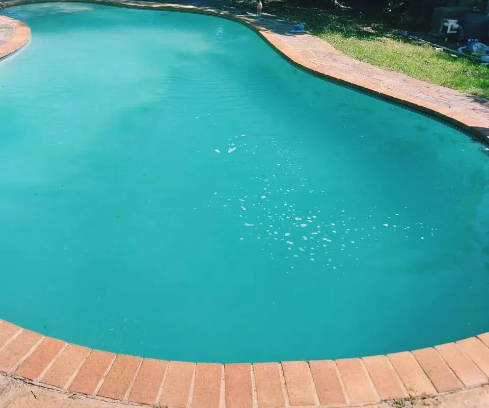 Cozy Retreat Ferndale