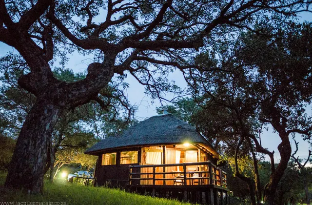 Shayamoya Tiger Fishing and Game Lodge