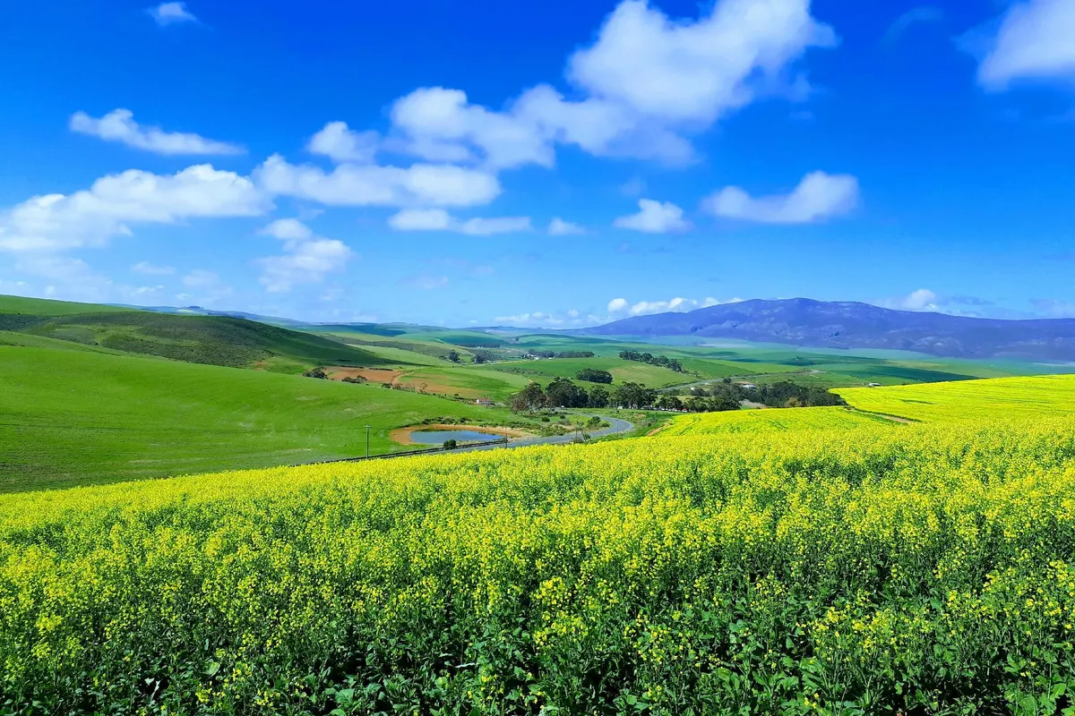 Farm holiday accommodation