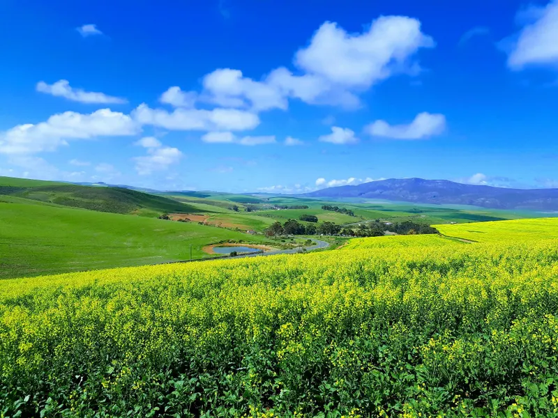 Farm holiday accommodation