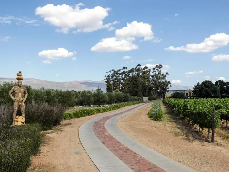 Saronsberg Vineyard Cottages