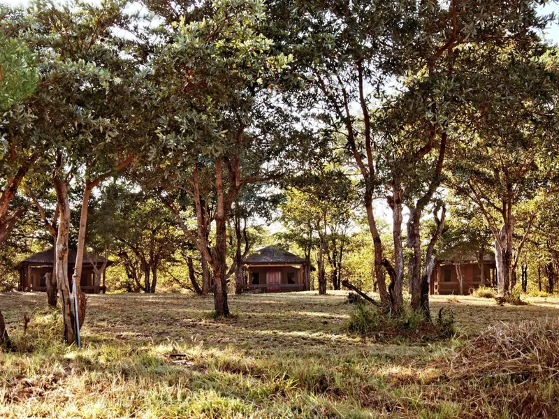 Shindzela Tented Safari Camp and Walking Safaris Accommodation