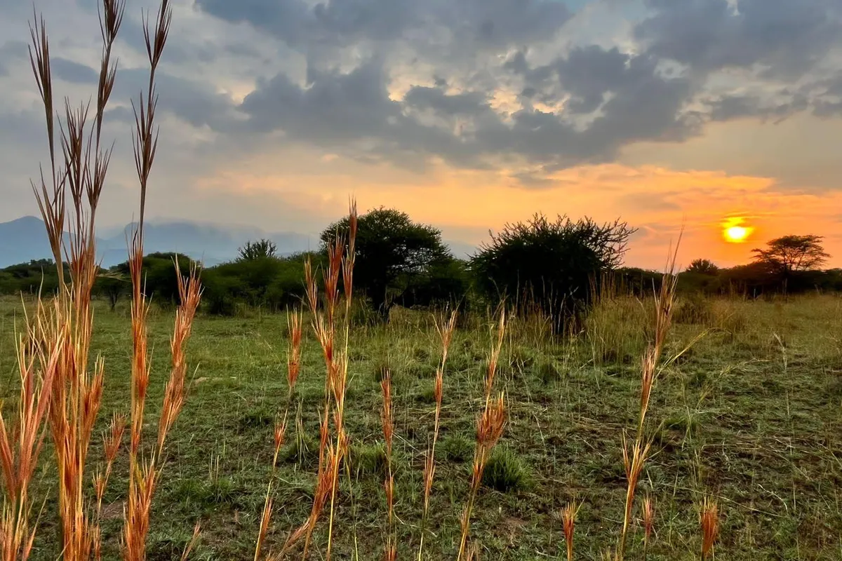 Thabazimbi Bushveld Self Catering Accommodation