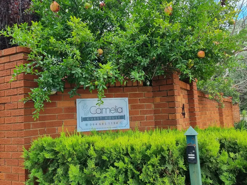 Camelia Guest House