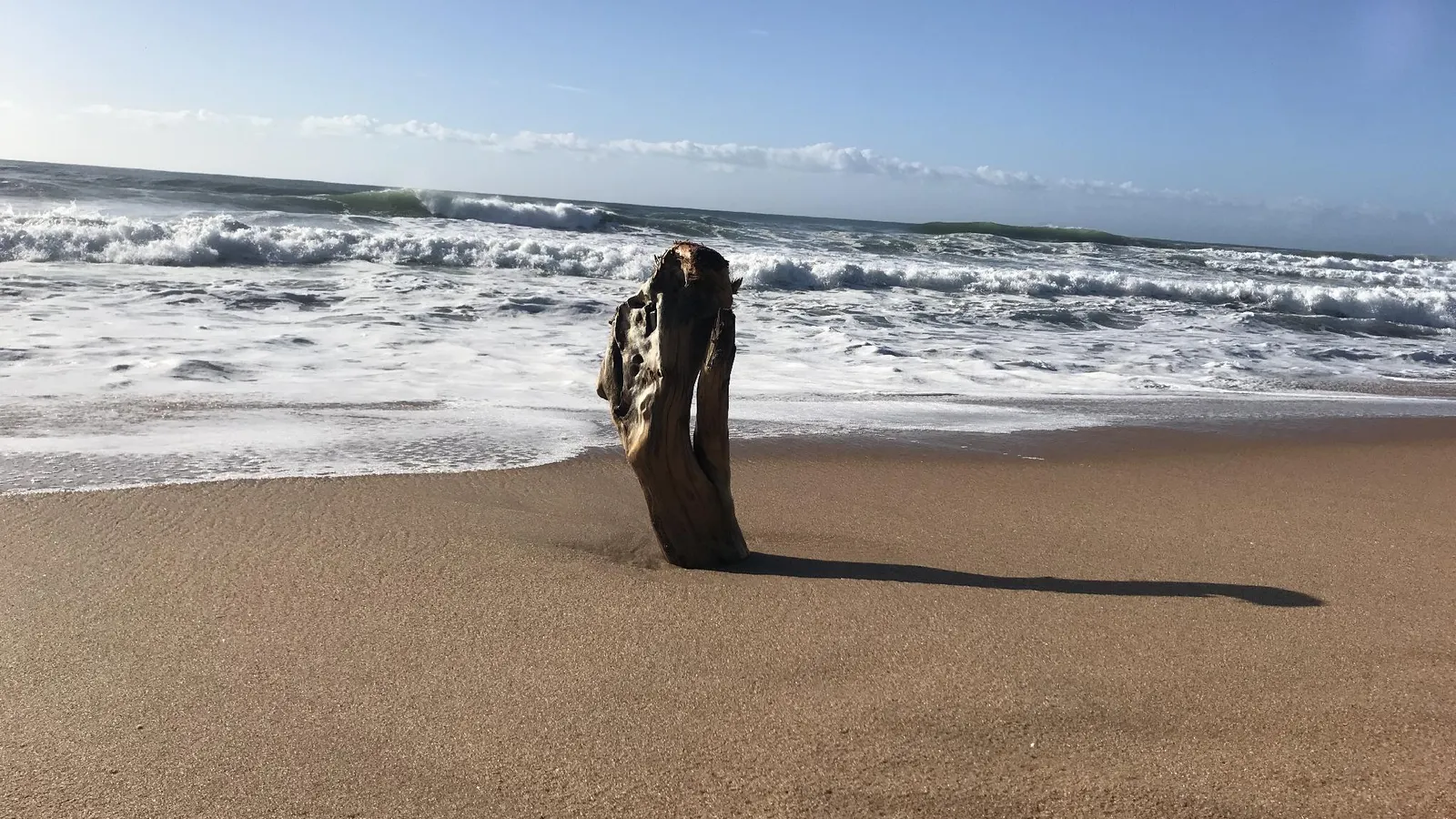 Milkwood - romantic coastal beach eacape