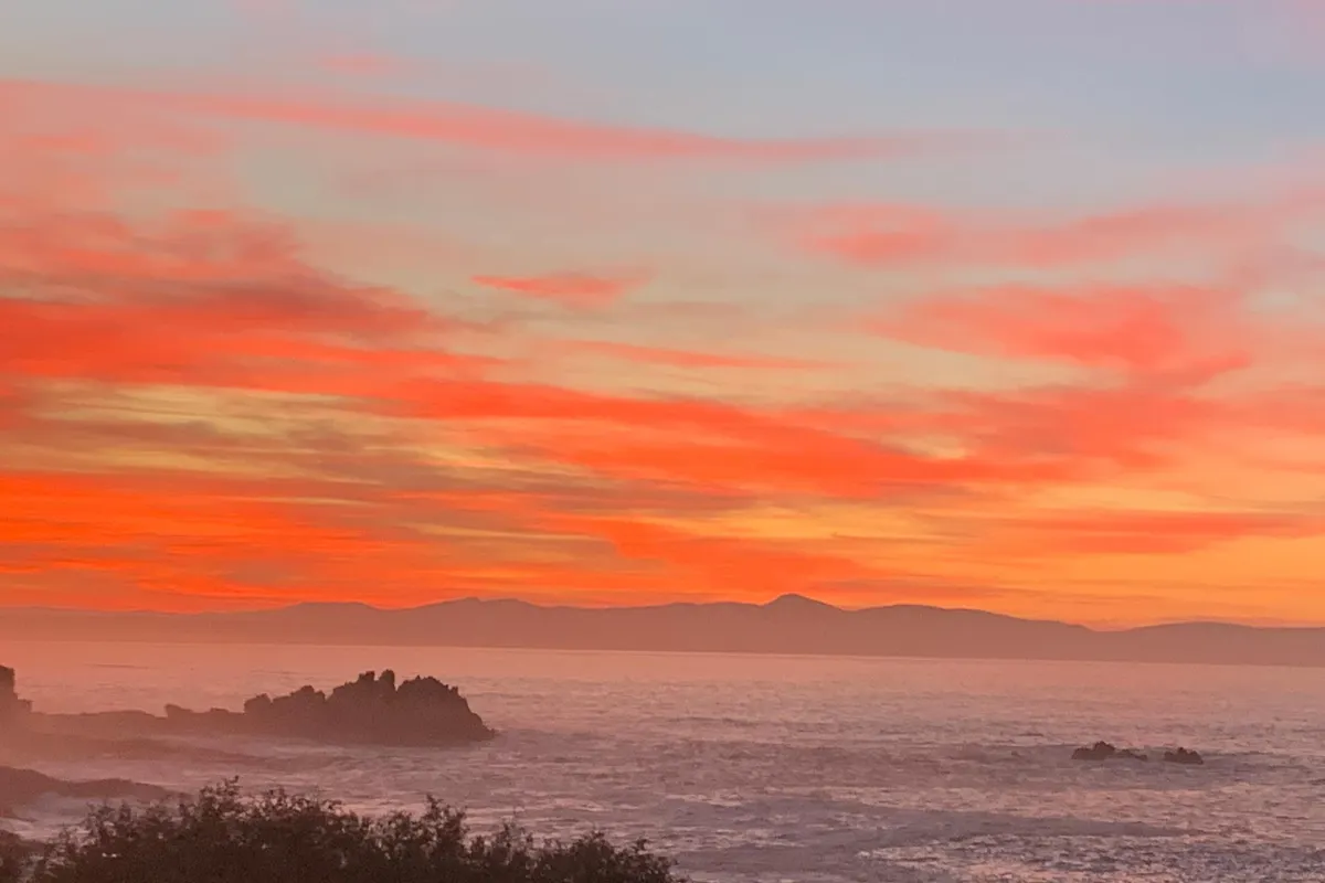 Boutique Ocean Views