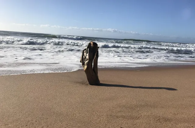 Milkwood - romantic coastal beach eacape