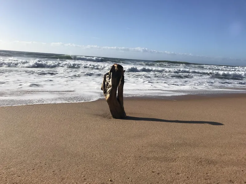 Milkwood - romantic coastal beach eacape