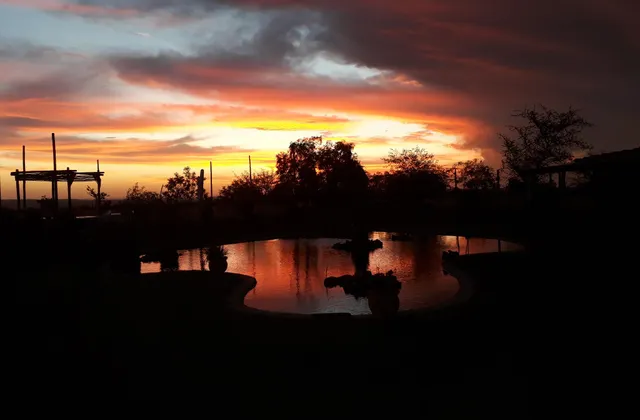 Nyani Lodge Dinokeng