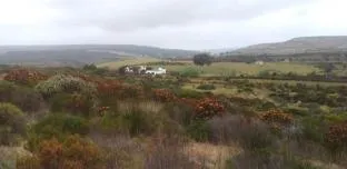 Wild Rescue Nature Reserve